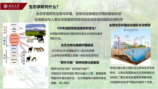 20200720159521256643303630.jpg 文中6.jpg