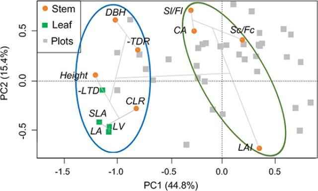 20200805159659604955809694.jpg 2-文中.jpg